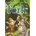 Tork DVD