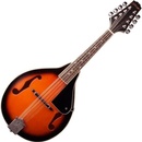 Stagg M20