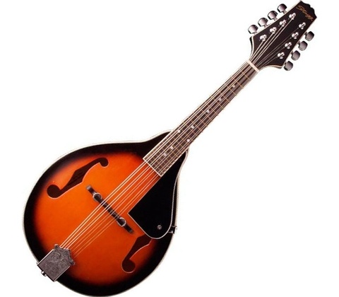Stagg M20