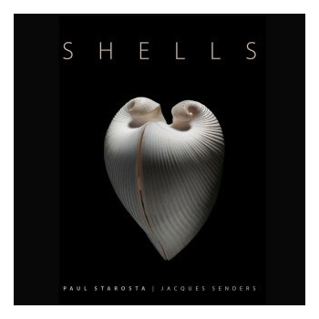 Kniha Shells