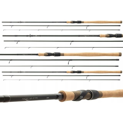 Daiwa AQUALITE POWER FLOAT 4,2 m 15-50 g 3 díly