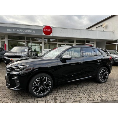 Cupra Terramar 2.0 TSI VZ 4Drive DSG 195 kW – Zboží Mobilmania