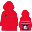 Eexee Mickey Mouse