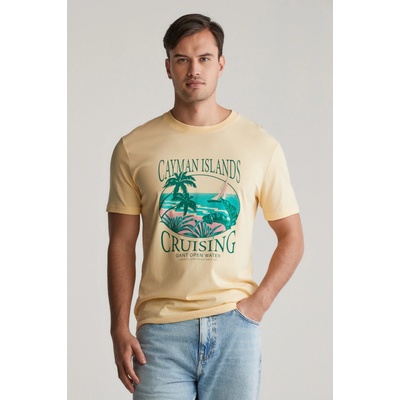 Gant Placed light yellow