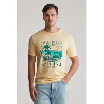 Gant Placed light yellow