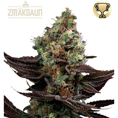 Seedstockers Zmäkdaun semena neobsahují THC 3 ks