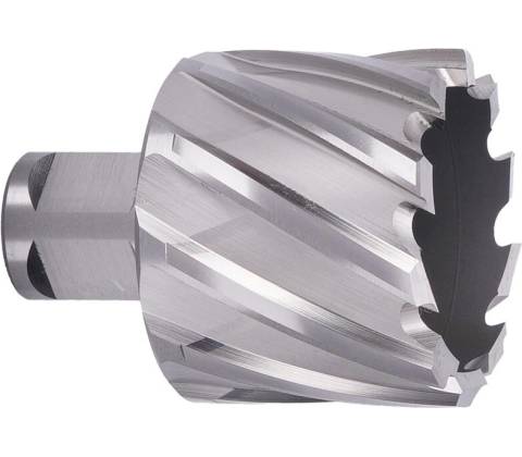 ABSE N-HS-W19-0450025
