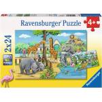 Ravensburger - Puzzle 2x24 Welcome to the Zoo - 40 - 99 piese