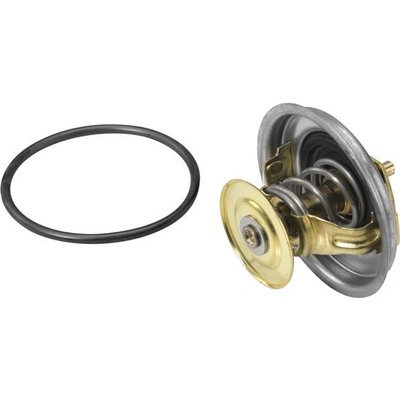 BorgWarner (Wahler) Termostat WAHLER (WH 4116.87D1)