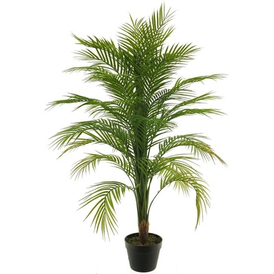 Palma 'Areca' v květináči zelená V120 cm