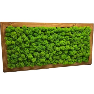 Machový obraz lišajník 40x20cm