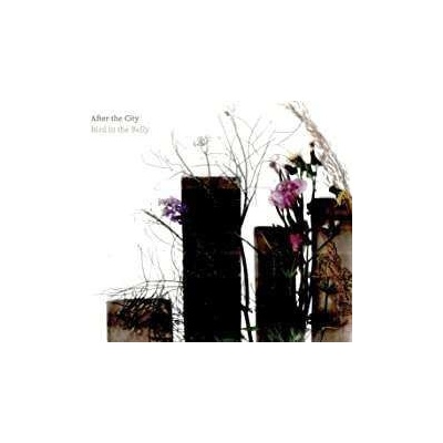 After The City CD