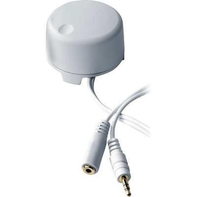 Genelec 9000AW