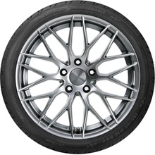 Taurus High Performance 205/50 R16 87V