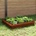 vidaXL Огради за охлюви 8 pcs 100 x 3, 5 x 25 см Патинираща стомана (874881)