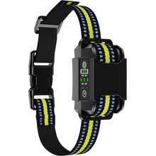 Patpet B601