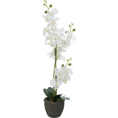Orchidej s bílými květy, 80 cm