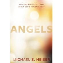 Michael S Heiser - Angels