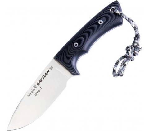 Muela GAVILAN
