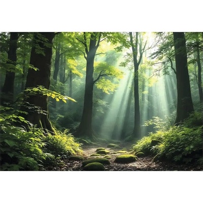 Obraz na plátně Les 70 x 110 cm