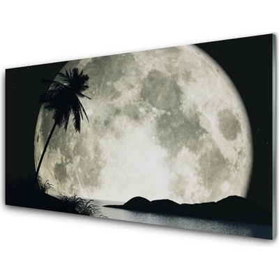 Obraz na skle Noc Měsíc Palma Krajina 100x50 cm