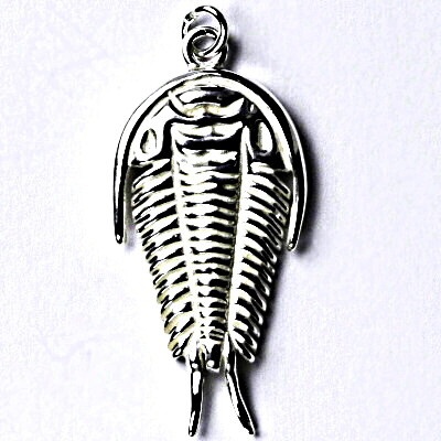 Čištín Stříbrný přívěšek, trilobit P 203