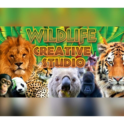 Wildlife Creative Studio
