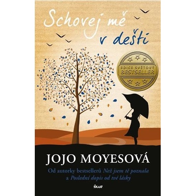 Schovej mě v dešti - Jojo Moyesová