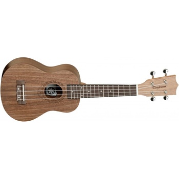 Tanglewood TWT2