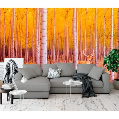 Art gift Фототапет есенна брезова гора