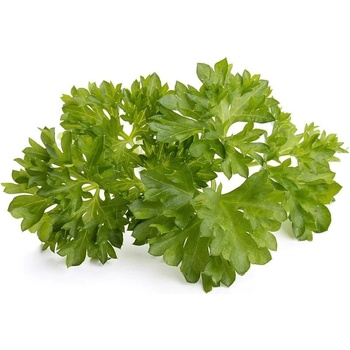 Click & Grow Семена Click and Grow, къдрав магданоз, 3 броя (SGR13X3)