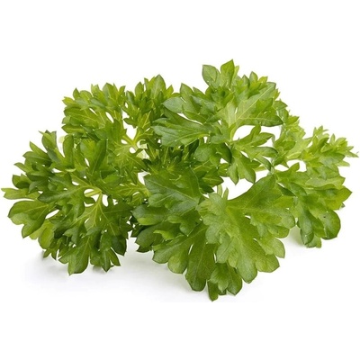 Click & Grow Семена Click and Grow, къдрав магданоз, 3 броя (SGR13X3)