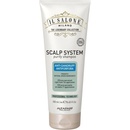ALFAPARF MILANO Scalp System AntiDandruff Shampoo 250 ml
