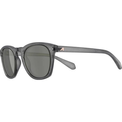 Alpina Слънчеви очила Alpina Sunbeam S3 Sunglasses - Grey Transaprent Gloss / Green - размер One Size (205-6916-0311)