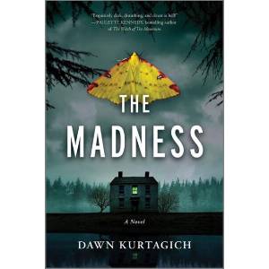 The Madness (ISBN: 9781525830440)