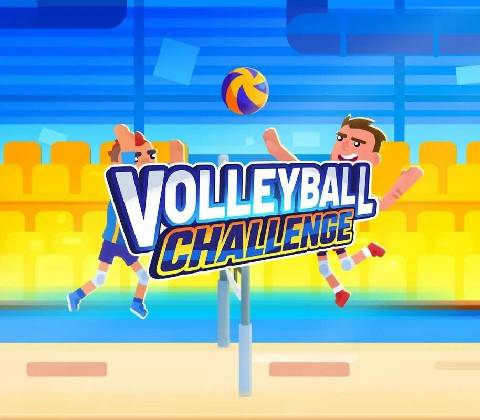 Volleyball Challenge