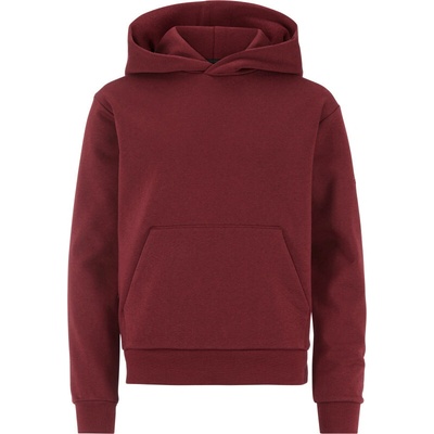 Craft Corporate Community 2.0 Hoodie Jr Kaštanová