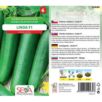 10484 Okurka F1 Linda 1 g / 1904