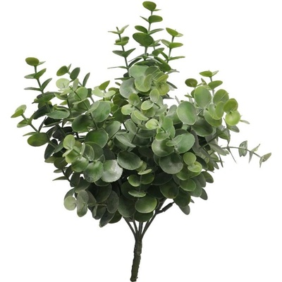 Blahovičník - Eukalyptus keř šedý V32 cm (N318489)