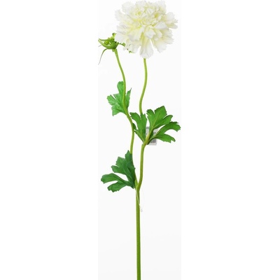 KS SCABIOSA BIELA 41CM
