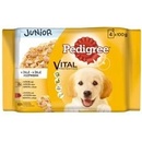 Kapsičky pre psov Pedigree Junior kura ryža hovädzina ryža v želé 4 x 100 g