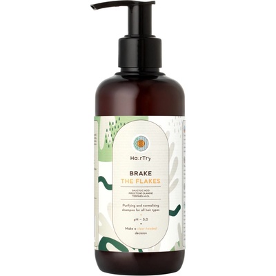 HairTry Brake the flakes Normalizačný šampón s kyselinou salicylovou 250ml