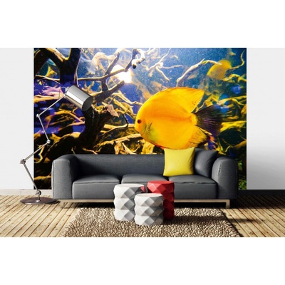 Dimex MA-5-0514 Samolepicí vliesová fototapeta na zeď Krásný podvodní svět rozměry 375 x 250 cm