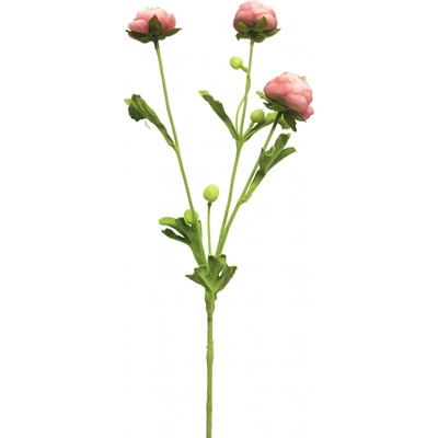 pryskyřník - ranonculus růžový mini 68 cm (N926187)