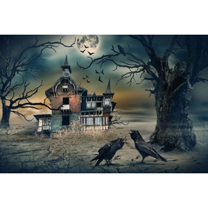DIMEX ART Флизелинов фототапет страшна къща 375 x 250 см