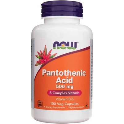 Now Foods Foods Kyselina Pantoténová 500 mg 100 kapslí