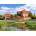 Castorland - Puzzle Malbork Castle, Poland - 3 000 piese