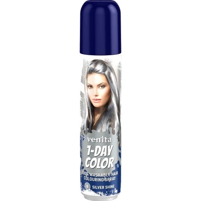 Venita 1-Day Color spray na vlasy 50 ml Silver Shine