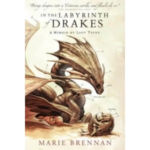 In the Labyrinth of Drakes (2016)