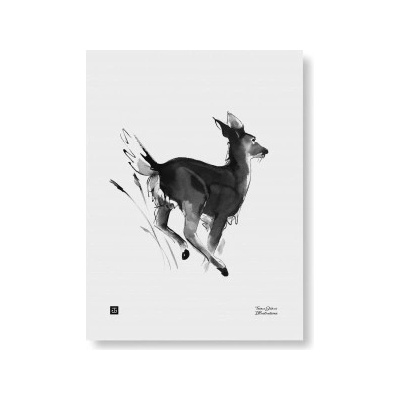 Plakát White-tailed Deer 30x40 cm Teemu Järvi Illustrations